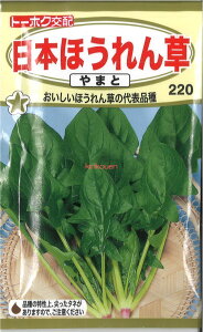 yszy5܂܂80~z {ق ܂