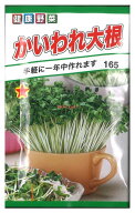 【代引不可】【送料10袋まで80円】 seed たね tane 種 種子　□かいわれ大根 ◇種子種子 大根 カブ 種か…