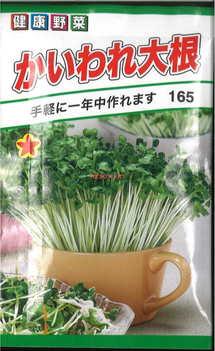 楽天市場 3 5 11 代引不可 送料5袋まで80円 かいわれ大根 Seed たね Tane 種 種子 大根 カブの種 錦幸園 楽天市場店