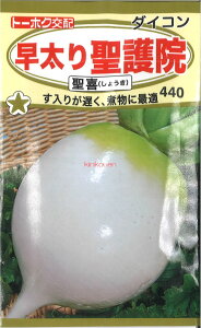 yszy5܂܂80~z seed  tane  q@萹@ qq 卪 Ju 푁萹@qq 卪 Ju  seed  tane  q萹@qq 