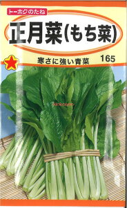 yszy5܂܂80~z seed  tane  q@؂ qq t  퐳؂؎qq t   seed  tane  q؂؎qq t   