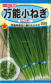 【代引不可】【送料5袋まで80円】 □万能小ねぎ スレンダー