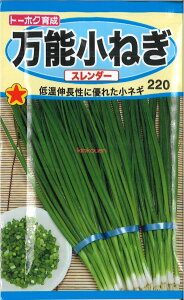 yszy5܂܂80~z \˂ X_[