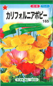 【代引不可】【送料5袋まで80円】◇ seed たね tane 種 種子 タネ □カリフォルニアポピー■花 種 花 種 花 種 花 種 花 種 花 種 花 種 花 種 花 種 花 種 花 種 花 種 花 種■花 種 花 種 花 種 花 種 花■