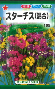 yszy5܂܂80~z seed  tane  q@X^[`X qq  X^[`Xqq   seed  tane  qX^[`Xqq   seed  tane  