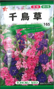 yszy5܂܂80~z seed  tane  q@璹 qq  璹qq   seed  tane  q璹qq   seed  tane  q璹qq   