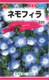 【代引不可】【送料5袋まで80円】◇ seed たね tane 種 種子 タネ □ネモフィラ■花 種 花 種 花 種 花 種 花 種 花 種 花 種 花 種 花 種 花 種 花 種 花 種 花 種■花 種 花 種 花 種 花 種 花 種 花 種 花