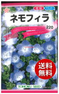 【代引不可】 seed たね tane 種 種子　□ネモフィラ ◇種子種子 花 種ネモフィラ種子種子 花 種 seed た…