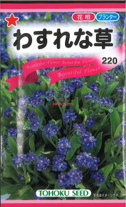 yszy5܂܂80~z seed  tane  q@킷ȑ qq  킷ȑqq   seed  tane  q킷ȑqq   seed  tane  q킷