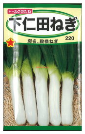 【代引不可】【送料10袋まで80円】 seed たね tane 種 種子　□下仁田ねぎ ◇種子種子 ネギ 種下仁田ねぎ種子種子 ネギ 種 seed たね tane 種 種子下仁田ねぎ種子種子 ネギ 種 seed たね tane 種 種子下仁