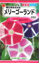 【代引不可】【送料5袋まで80円】 seed たね tane 種 種子　□曜白系あさがおメリーゴーランド ◇種子種子 花 種曜白系あさがおメリーゴーランド種子種子 花 種 seed たね tane 種 種子曜白系あさがおメリーゴーランド
