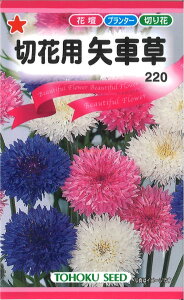 yszy5܂܂80~z ؉ԗpԑ