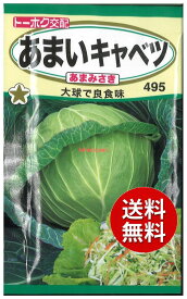 【代引不可】【送料5袋まで80円】 seed たね tane 種 種子　□あまいキャベツあまみさき ◇種子種子 キャベツ 種あまいキャベツあまみさき種子種子 キャベツ 種 seed たね tane 種 種子あまいキャベツあまみさき種子種子