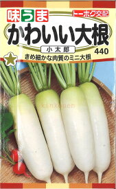 【代引不可】【送料5袋まで80円】◇ seed たね tane 種 種子 タネ □かわいい大根小太郎■種子 大根 カブ 種 種子 大根 カブ 種 種子 大根 カブ 種 種子 大根 カブ 種 種子 大根 カブ 種 種子 大根 カブ 種 種子 大根 カ