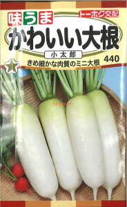 12{蔭@yszy5܂܂80~z seed  tane  q@킢卪Y qq 卪 Ju 킩킢卪Yqq 卪 Ju  seed  tane  q