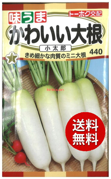楽天市場 4 2 3 代引不可 送料5袋まで80円 かわいい大根 小太郎 Seed たね Tane 種 種子 大根 カブの種 錦幸園 楽天市場店 楽天市場 4 2 3 代引不可 送料5袋まで80円 かわいい大根 小太郎 Seed たね Tane 種 種子 大根 カブの種 錦幸園 楽天市場店