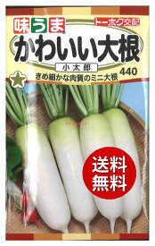 【代引不可】 【送料無料】seed たね tane 種 種子□かわいい大根小太郎 ◇種子種子 大根 カブ 種かわいい大根小太郎種子種子 大根 カブ 種 seed たね tane 種 種子かわいい大根小太郎種子種子 大根 カブ 種 seed