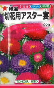 12{蔭@yszy5܂܂80~z seed  tane  q@I؉ԗpAX^[ qq  I؉ԗpAX^[qq   seed  tane  qI؉ԗpA