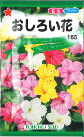 【代引不可】【送料5袋まで80円】◇ seed たね tane 種 種子 タネ □おしろい花■花 種 花 種 花 種 花 種 花 種 花 種 花 種 花 種 花 種 花 種 花 種 花 種 花 種■花 種 花 種 花 種 花 種 花 種 花 種 花