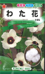 �y����s�z�y����5�܂܂�80�~�z seed ���� tane �� ��q�@���킽�� ����q��q �� ��킽�Ԏ�q��q �� �� seed ���� tane �� ��q�킽�Ԏ�q��q �� �� seed ���� tane �� ��q�킽��