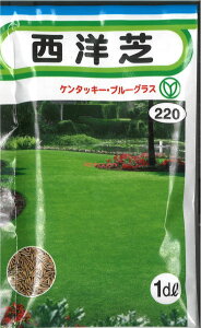 yszy5܂܂80~z m P^bL[Eu[EOX