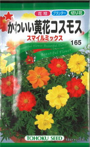 12{蔭@yszy5܂܂80~z seed  tane  q@킢ԃRXXX}C~bNX qq  킩킢ԃRXXX}C~bNXqq  