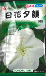 12{蔭@yszy5܂܂80~z seed  tane  q@ԗ[ qq  픒ԗ[qq   seed  tane  qԗ[qq   seed  tane  