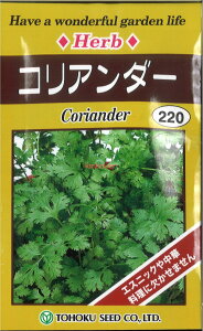 yszy5܂܂80~z seed  tane  q@RA_[ qq n[u RA_[qq n[u  seed  tane  qRA_[qq n[u  seed  