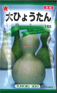 12{蔭@yszy5܂܂80~z seed  tane  q@Ђ傤 qq  Ђ傤qq   seed  tane  qЂ傤qq   seed