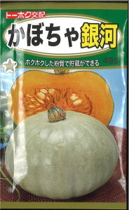 12{蔭@yszy5܂܂80~z seed  tane  q@ڂ qq J{` 킩ڂ͎qq J{`  seed  tane  qڂ͎q