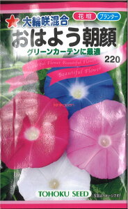 12{蔭@yszy5܂܂80~z seed  tane  q@֍獬͂悤 qq  ֍獬͂悤qq   seed  tane  q֍獬