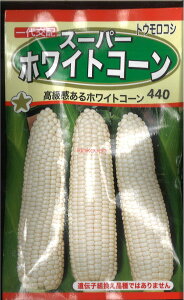 �y����s�z�y����5�܂܂�80�~�z seed ���� tane �� ��q�@���X�[�p�[�z���C�g�R�[�� ����q��q �g�E�����R�V ��X�[�p�[�z���C�g�R�[����q��q �g�E�����R�V �� seed ���� tane �� ��q�X�[�p