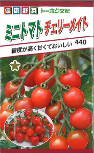 12{蔭@yszy5܂܂80~z seed  tane  q@~jg}g`F[Cg qq g}g ~jg}g ~jg}g`F[Cgqq g}g ~jg