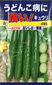 12{蔭@yszy5܂܂80~z seed  tane  q@ǂ񂱕aɋILEԐ qq LE 키ǂ񂱕aɋ!LEԐ