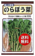 【代引不可】 【送料無料】seed たね tane 種 種子□のらぼう菜 ◇種子種子 葉野菜 他 種のらぼう菜種子…