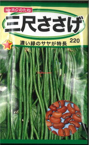 12{蔭@yszy5܂܂80~z seed  tane  q@Oڂ qq  Oڂqq   seed  tane  qOڂqq   seed  t