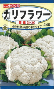 yszy5܂܂80~z seed  tane  q@Jt[ qq ubR[ Jt[ ^X Jt[qq ubR[ Jt[ ^X 