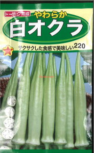 12{蔭@yszy5܂܂80~z seed  tane  q@炩IN q炩INq seed  tane  q炩INq seed  tane  q