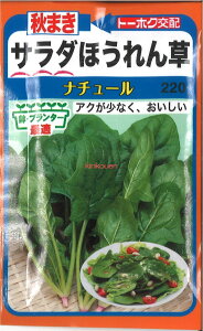 yszy5܂܂80~z H܂T_ق i`[