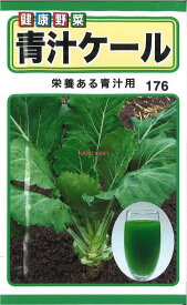 【代引不可】【送料5袋まで80円】◇ seed たね tane 種 種子 タネ □青汁ケール■種子 葉野菜 他 種 種子 葉野菜 他 種 種子 葉野菜 他 種 種子 葉野菜 他 種 種子 葉野菜 他 種 種子 葉野菜 他 種 種子 葉野菜 他 種■