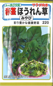 ほうれん草の種！家庭菜園で美味しい野菜が育つ人気の種のおすすめは？