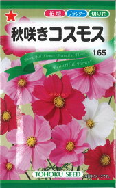 【代引不可】【送料5袋まで80円】 □秋咲きコスモス