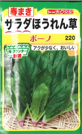 【代引不可】【送料5袋まで80円】 □春まきサラダほうれん草ボーノ