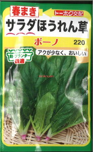 12{蔭@yszy5܂܂80~z seed  tane  q@t܂T_ق񑐃{[m qq zE\E t܂T_ق񑐃{[mqq zE\