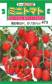 【代引不可】【送料5袋まで80円】 □ミニトマト スイーツミニ カリーノ・ドルチェ