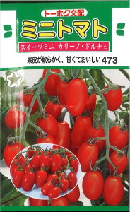 12{蔭@yszy5܂܂80~z seed  tane  q@~jg}gXC[c~jJ[mEh`F qq g}g ~jg}g ~jg}gXC[c~jJ[m