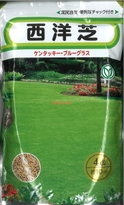 12{蔭@yszy5܂܂80~z seed  tane  q@m  P^bL[Eu[EOX 4dl 10m2 m  P^bL[Eu[EOX 4dl 10m2 seed 