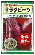 【代引不可】 【送料無料】seed たね tane 種 種子□あま〜いサラダビーツ ◇種子種子 葉野菜 他 種あま~…
