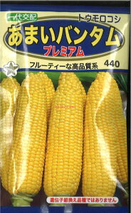 �y����s�z�y����5�܂܂�80�~�z seed ���� tane �� ��q�@�����܂��o���^���v���~�A�� ����q��q �g�E�����R�V �킠�܂��o���^���v���~�A����q��q �g�E�����R�V �� seed ���� tane �� ��q��