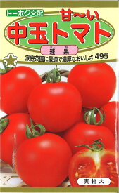 【代引不可】【送料5袋まで80円】◇ seed たね tane 種 種子 タネ □甘~い中玉トマト連果■種子 トマト ミニトマト 種 種子 トマト ミニトマト 種 種子 トマト ミニトマト 種 種子 トマト ミニトマト 種 種子 トマト ミニトマト